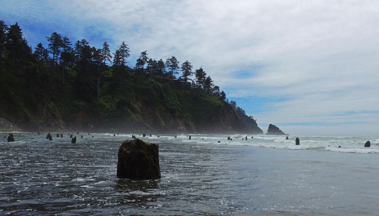 Earthquake Shakes Oregon Coast Latest Updates