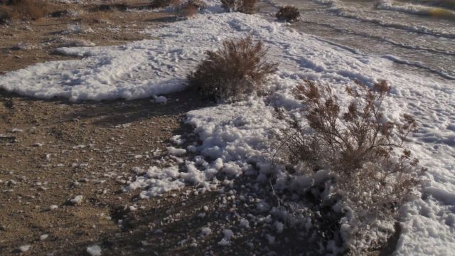 Hunters Warned as Record Levels of ‘Forever Chemicals’ Detected in Wildlife Near New Mexico Base