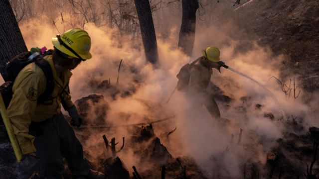 L.A. Fire Claims Lives of 82-Year-Old in Bed and Hero Holding Garden Hose 'He Probably Fought with All His Will'