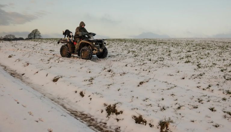 Proposed Law Could Make Some Off-Road Vehicles Street-Legal in Kentucky