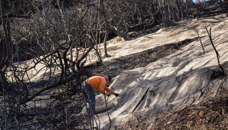Rain in Southern California can cause mudslides, but it also helps firemen
