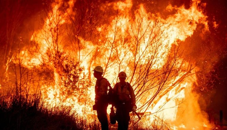 Santa Monica Police Have Released Mugshots of People They Think Tried to Steal During the California Wildfires