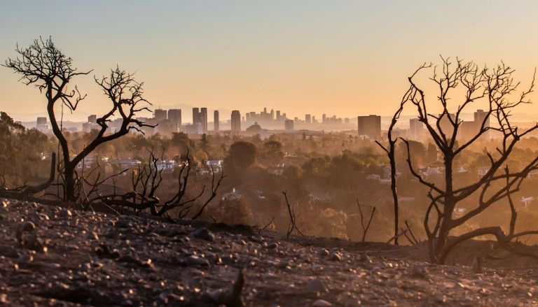 Southern California's Winds Should Calm Down, but There is Still a Risk of Fire This Week