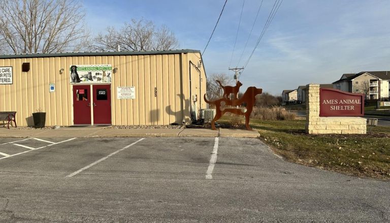 The Animal Shelter will be moved by the city of Ames to an old daycare off of Dayton Avenue