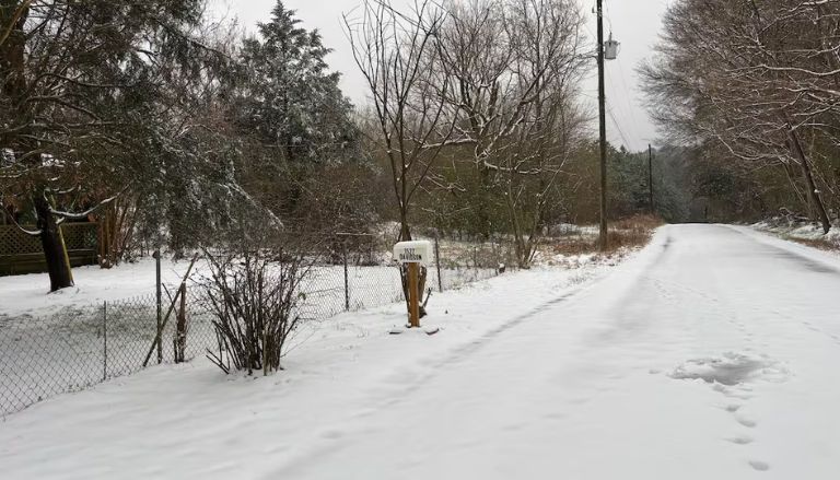 Alabama Power Offers Assistance to Customers Facing High Energy Costs After Winter Storm