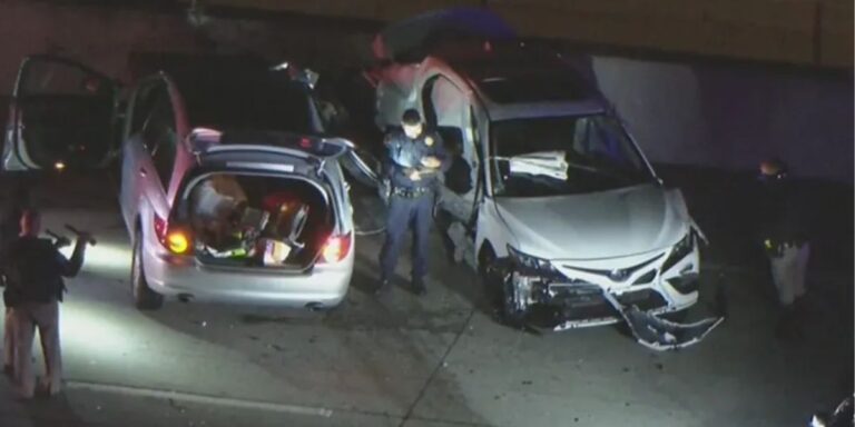 Fatal Crash on 405 Freeway Woman and Dog Dead in West Los Angeles