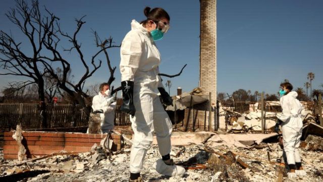 From Tragedy to Theft Palisades Fire Victims Targeted by Identity Fraud