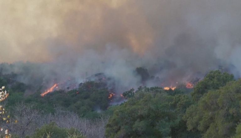 State Farm Requests Emergency 22% Rate Hike Following L.A. Wildfires