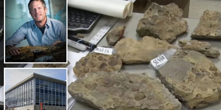 380 Million-Year-Old Fossils Discarded in Landfill Due to Unpaid UPS Bill, Lawsuit Alleges
