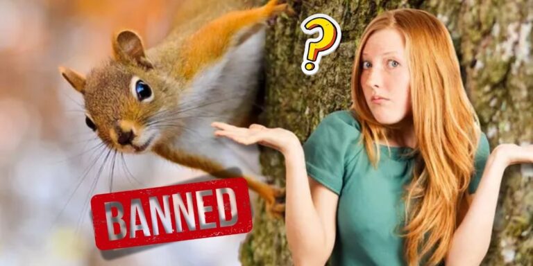 Banned Pets These are the Animals You Can’t Legally Own in Indiana
