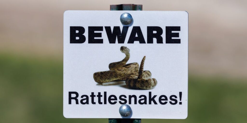 Beware The 5 Most Rattlesnake-Infested Areas in Wyoming You Should Avoid