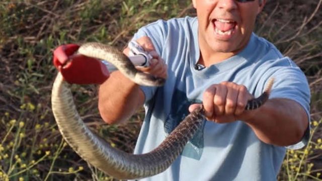 Warning: The 5 Most Rattlesnake-Infested Areas in South Dakota You Won’t Believe Exist!