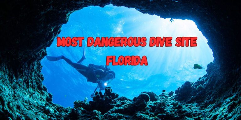 Florida’s Most Dangerous Dive Site Why Daredevils Keep Diving Into Danger!