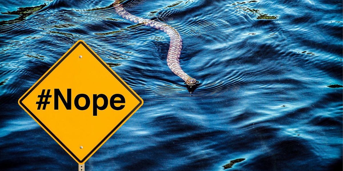 Dangerous Waters: The Most Snake-Infested Lakes in Texas You Need to Know About