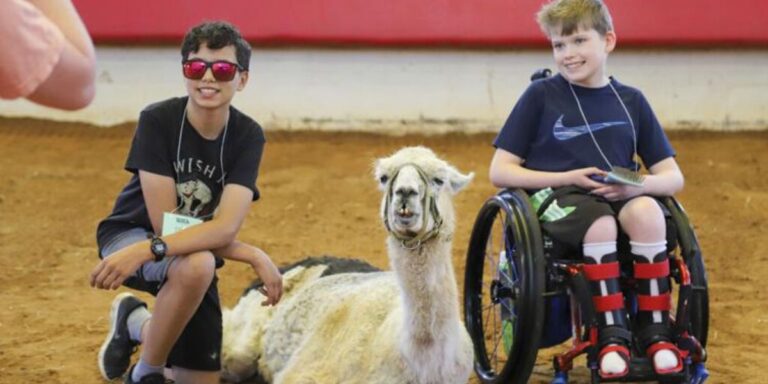 World's Oldest Llama Spreads Joy and Comfort to Sick Children in North Carolina