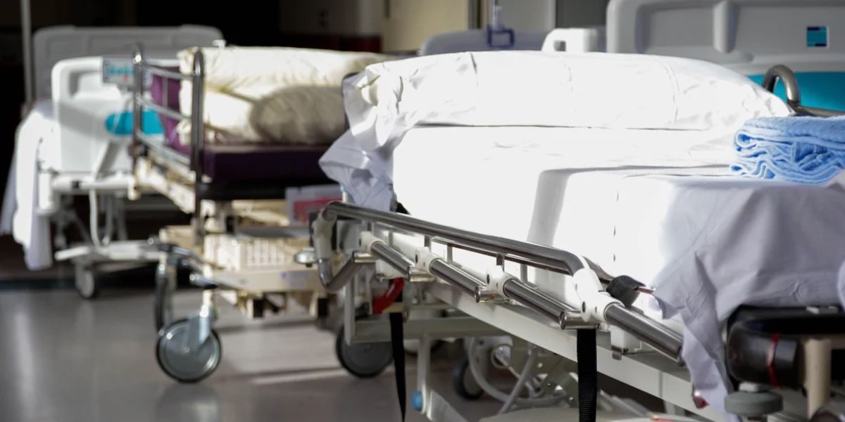 Michigan Patient Dies from Rare Rabies Infection Transmitted via Organ Transplant