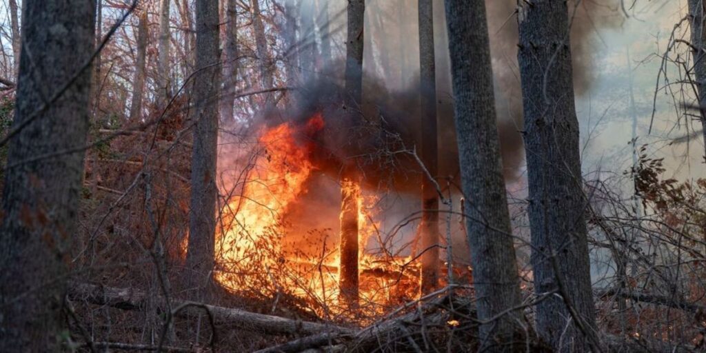 Recent Hurricanes, Drought, and Wind Conditions Stoking Fires Across the U.S.