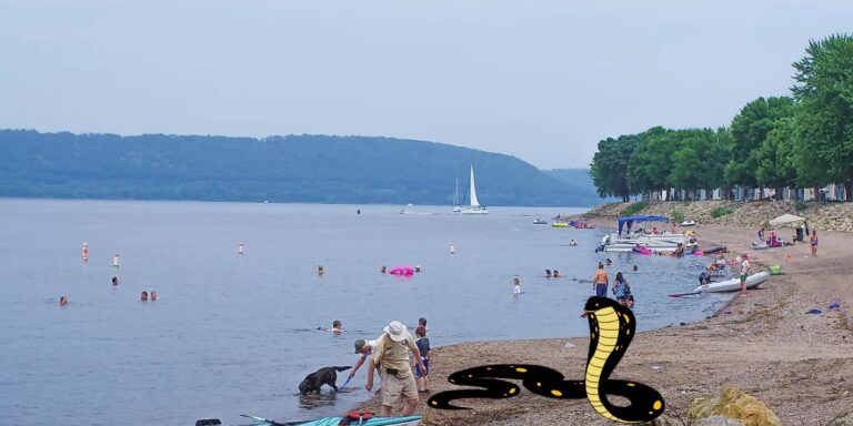 Slithering Danger These are Top 3 Most Snake-Infested Lakes in Arkansas