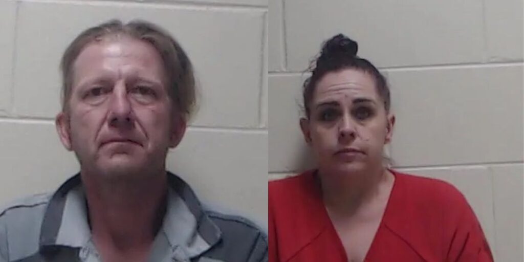 Florida Fugitive Hiding in Tree Uncovered by K9’s Keen Sense of Smell