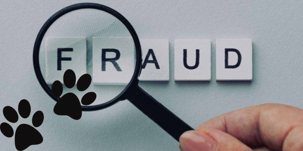 Pet Insurance Fraud Colorado Man Charged with 22 Felonies in Fraudulent Scheme