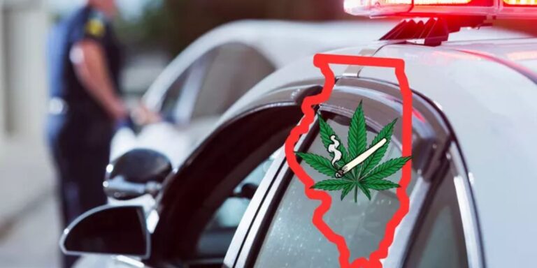 Smell Marijuana in Your Car Florida Cops Might Still Search You — Even if It's Legal